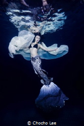 Mermaid Fairy by Chocho Lee 